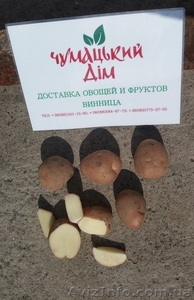 Домашний картофель с бесплатной доставкой по г. Винница (картошка) - <ro>Изображение</ro><ru>Изображение</ru> #1, <ru>Объявление</ru> #1499414