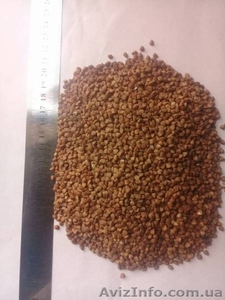 Гречка від виробника ГОСТ  5550-74