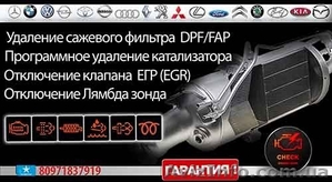 Удаление сажевого фильтра  DPF/ FAP - <ro>Изображение</ro><ru>Изображение</ru> #1, <ru>Объявление</ru> #1606074