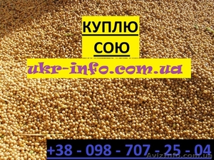 КУПЛЮ сою. СОЯ. Покупаем.