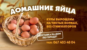 Яйца куриные домашние - <ro>Изображение</ro><ru>Изображение</ru> #1, <ru>Объявление</ru> #1654755