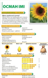 Насіння соняшнику ОСМАН 