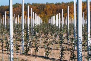 Продам столбики бетонные для садов,  виноградников