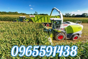 Услуги по уборке сенажа, силоса комбайнами ягуар, услуги силосоуборочных комбайнов