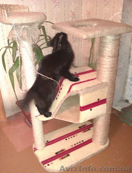 Изгоовление домиков для кошек - <ro>Изображение</ro><ru>Изображение</ru> #2, <ru>Объявление</ru> #336852