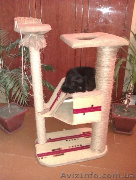 Изгоовление домиков для кошек - <ro>Изображение</ro><ru>Изображение</ru> #1, <ru>Объявление</ru> #336852