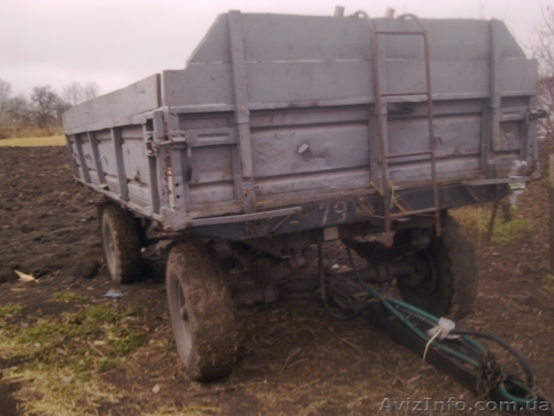 Кобзар Петр Юрьевич  0975086574 - <ro>Изображение</ro><ru>Изображение</ru> #4, <ru>Объявление</ru> #448736