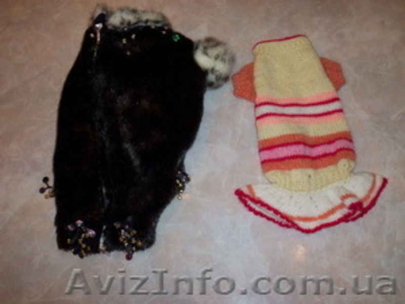 шью эксклюзивные вещи любых размеров собак - <ro>Изображение</ro><ru>Изображение</ru> #3, <ru>Объявление</ru> #434034