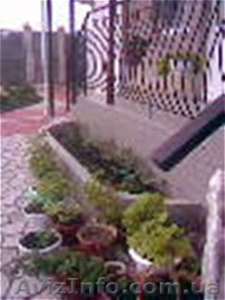 Отдых в Крыму! недорого! - <ro>Изображение</ro><ru>Изображение</ru> #1, <ru>Объявление</ru> #560808