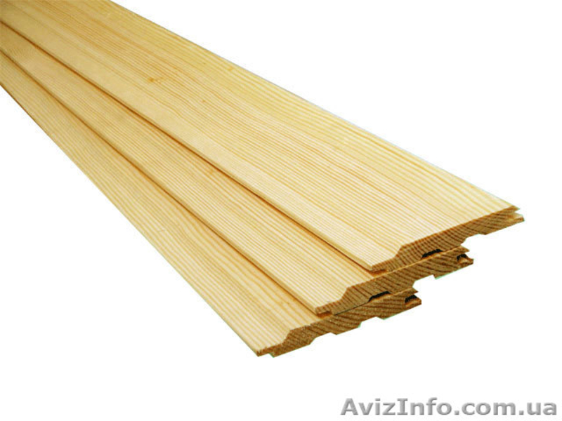 Лиственница сибирская Винница Украина - <ro>Изображение</ro><ru>Изображение</ru> #1, <ru>Объявление</ru> #153144