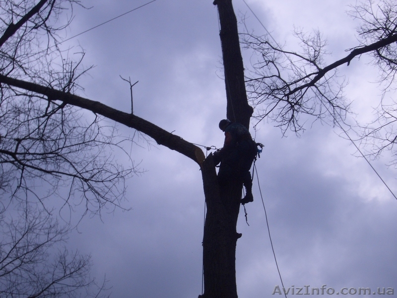 утепление квартир и домов... - <ro>Изображение</ro><ru>Изображение</ru> #3, <ru>Объявление</ru> #709142