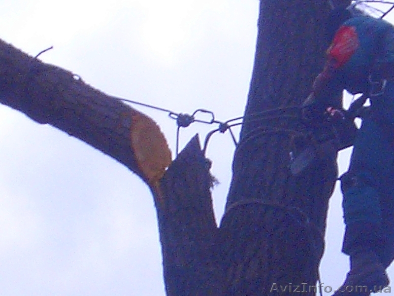 утепление квартир и домов... - <ro>Изображение</ro><ru>Изображение</ru> #4, <ru>Объявление</ru> #709142