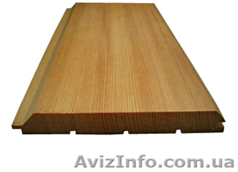 Лиственница сибирская Винница Украина - <ro>Изображение</ro><ru>Изображение</ru> #3, <ru>Объявление</ru> #153144