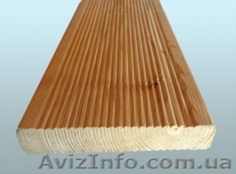 Лиственница сибирская Винница Украина - <ro>Изображение</ro><ru>Изображение</ru> #4, <ru>Объявление</ru> #153144