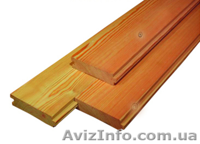 Лиственница сибирская Винница Украина - <ro>Изображение</ro><ru>Изображение</ru> #6, <ru>Объявление</ru> #153144