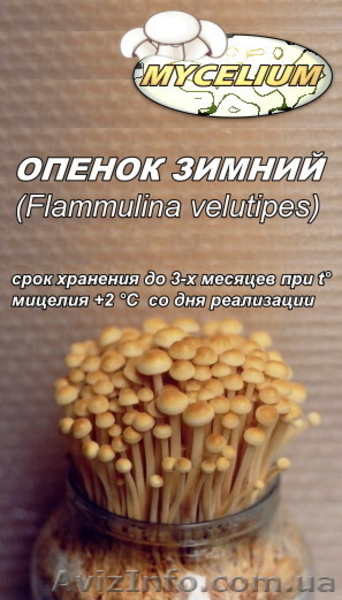 Мицелий вешенки, шампиньона - <ro>Изображение</ro><ru>Изображение</ru> #3, <ru>Объявление</ru> #736212