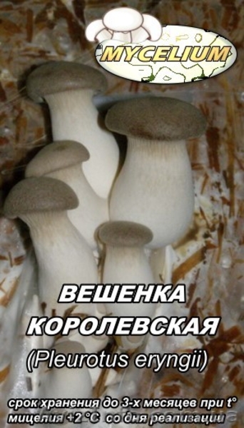 Мицелий вешенки, шампиньона - <ro>Изображение</ro><ru>Изображение</ru> #2, <ru>Объявление</ru> #736212