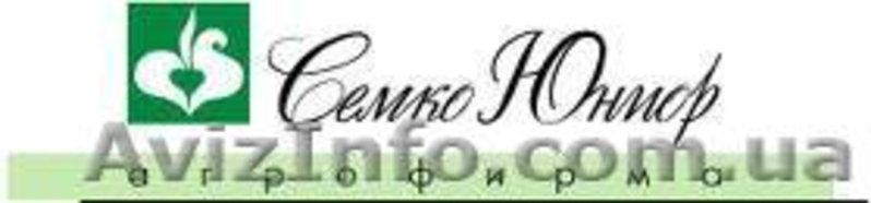 Пестецыды для владельцев приусадебных участков и фермерских хозяйств  - <ro>Изображение</ro><ru>Изображение</ru> #2, <ru>Объявление</ru> #772906