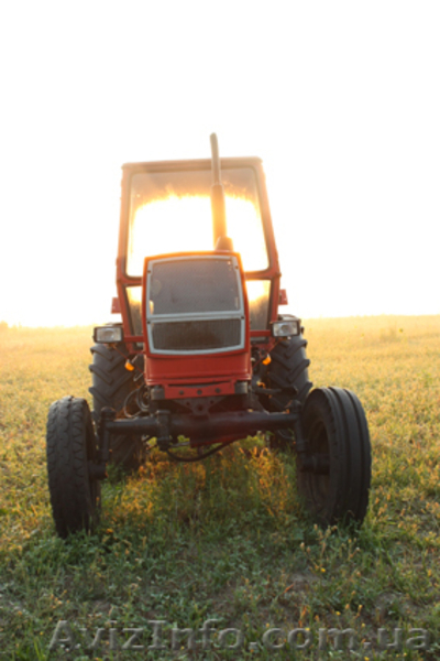 Продам трактор ЮМЗ-6  ,1998г. - <ro>Изображение</ro><ru>Изображение</ru> #2, <ru>Объявление</ru> #795523