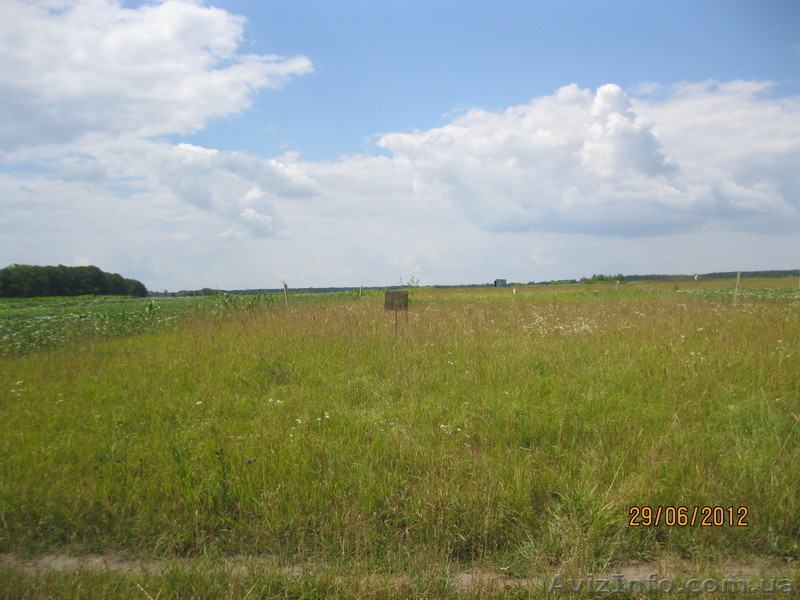 Прдаю земельный участок 6 соток 6 тыс.дол - <ro>Изображение</ro><ru>Изображение</ru> #3, <ru>Объявление</ru> #790230