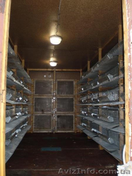 Продам кунг для выращивания перепелов - <ro>Изображение</ro><ru>Изображение</ru> #2, <ru>Объявление</ru> #801859