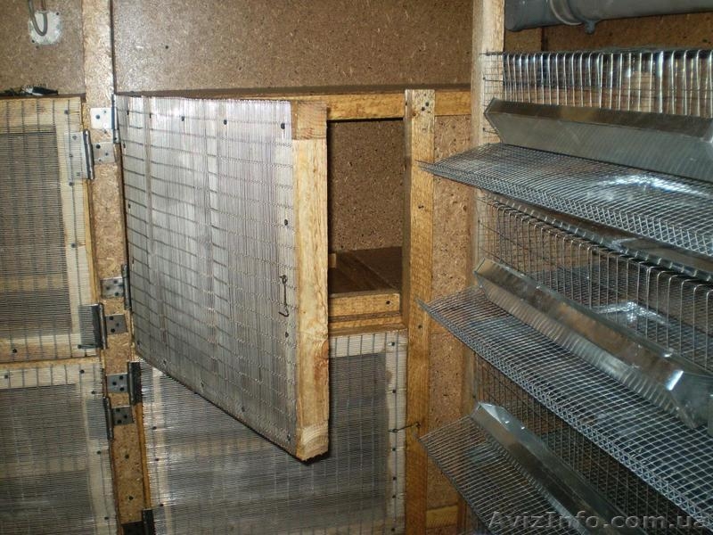 Продам кунг для выращивания перепелов - <ro>Изображение</ro><ru>Изображение</ru> #4, <ru>Объявление</ru> #801859