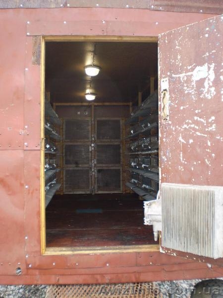 Продам кунг для выращивания перепелов - <ro>Изображение</ro><ru>Изображение</ru> #7, <ru>Объявление</ru> #801859