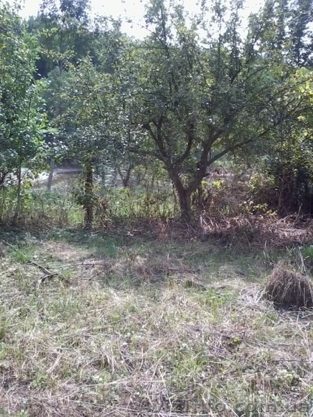 Продам дачу в красивом месте - <ro>Изображение</ro><ru>Изображение</ru> #2, <ru>Объявление</ru> #878908