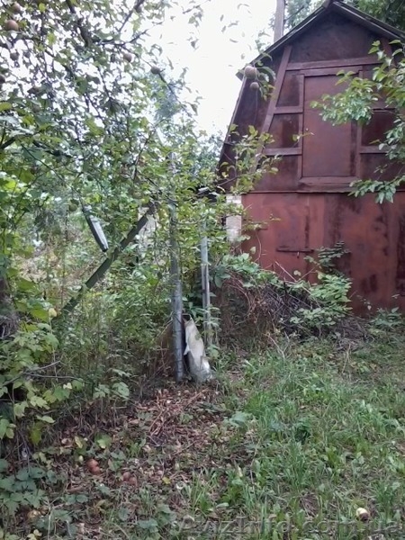 Продам дачу в красивом месте - <ro>Изображение</ro><ru>Изображение</ru> #6, <ru>Объявление</ru> #878908