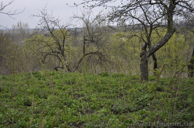 Продам будинок в с. Сокільці - <ro>Изображение</ro><ru>Изображение</ru> #3, <ru>Объявление</ru> #901993