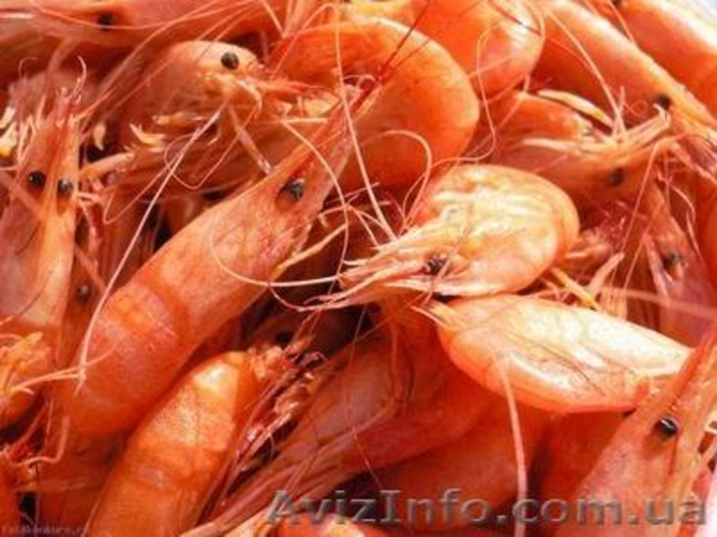 Красная икра, красная рыба, морепродукты - <ro>Изображение</ro><ru>Изображение</ru> #5, <ru>Объявление</ru> #913978