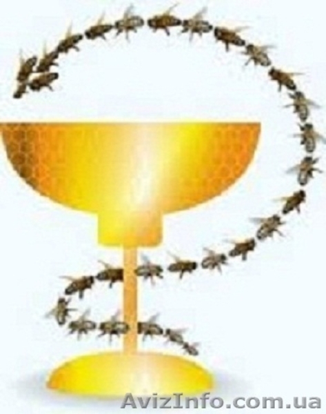 20% настойка восковой моли - <ro>Изображение</ro><ru>Изображение</ru> #4, <ru>Объявление</ru> #944814