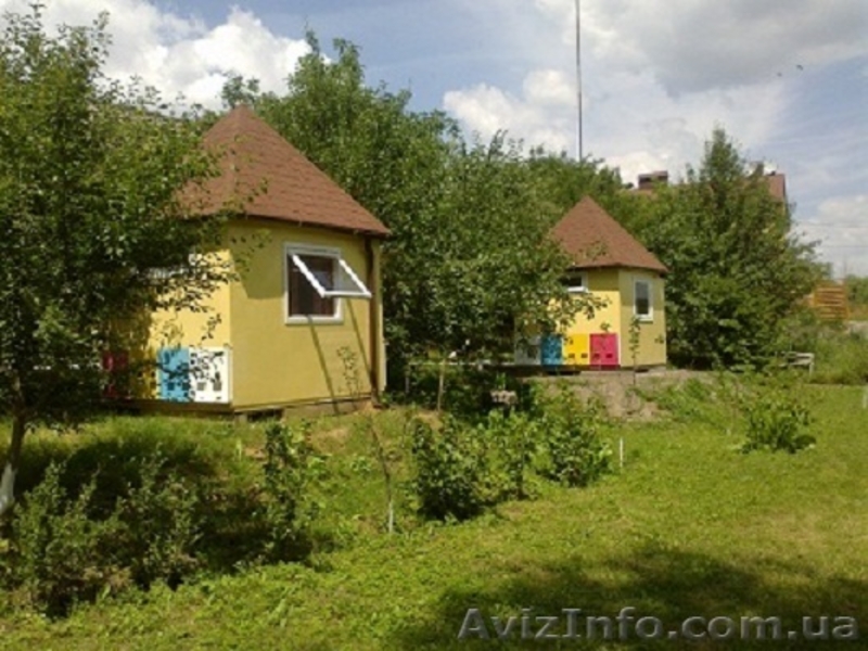 Оздоровление пчелами - <ro>Изображение</ro><ru>Изображение</ru> #1, <ru>Объявление</ru> #944810