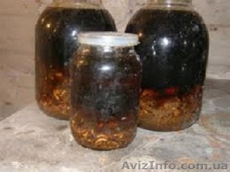 20% настойка восковой моли - <ro>Изображение</ro><ru>Изображение</ru> #3, <ru>Объявление</ru> #944814