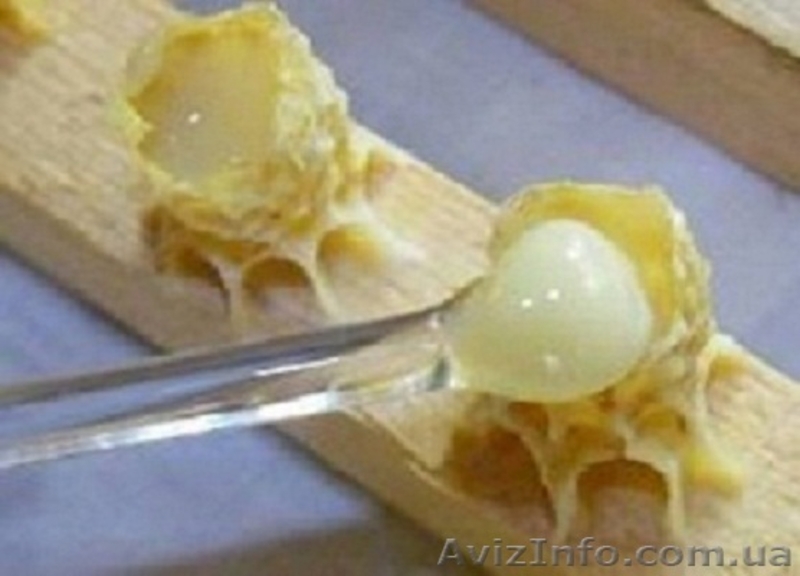 Королевское желе (маточное молочко) - <ro>Изображение</ro><ru>Изображение</ru> #4, <ru>Объявление</ru> #944813