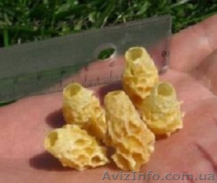 Королевское желе (маточное молочко) - <ro>Изображение</ro><ru>Изображение</ru> #1, <ru>Объявление</ru> #944813