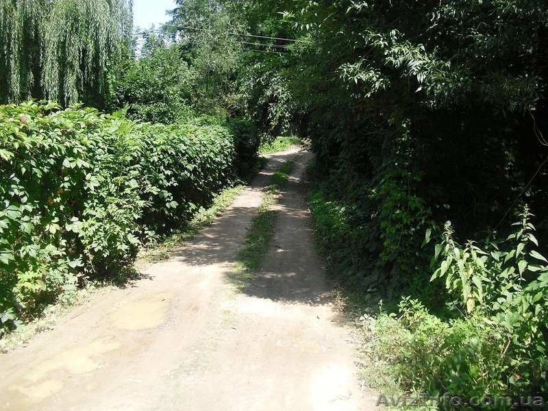 Дом Тывров Винницкая область - <ro>Изображение</ro><ru>Изображение</ru> #2, <ru>Объявление</ru> #967549