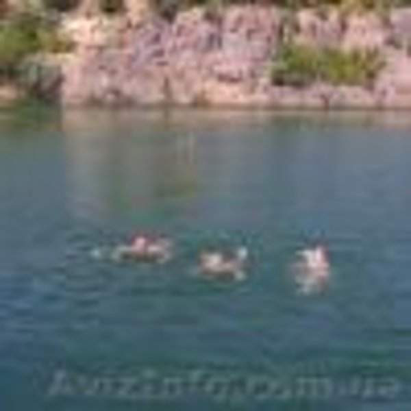 Зеленый туризм, отдых - <ro>Изображение</ro><ru>Изображение</ru> #4, <ru>Объявление</ru> #1106356