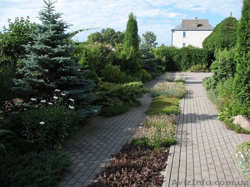 Семейный корабль!  - <ro>Изображение</ro><ru>Изображение</ru> #2, <ru>Объявление</ru> #1113225