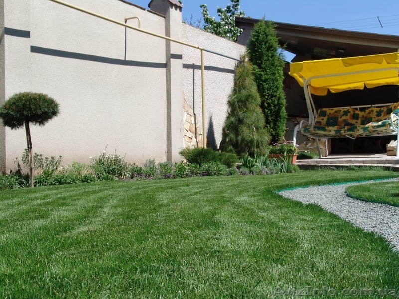 Рулонные газоны – с июля 2014 г. и в Вашей области! - <ro>Изображение</ro><ru>Изображение</ru> #1, <ru>Объявление</ru> #1113997