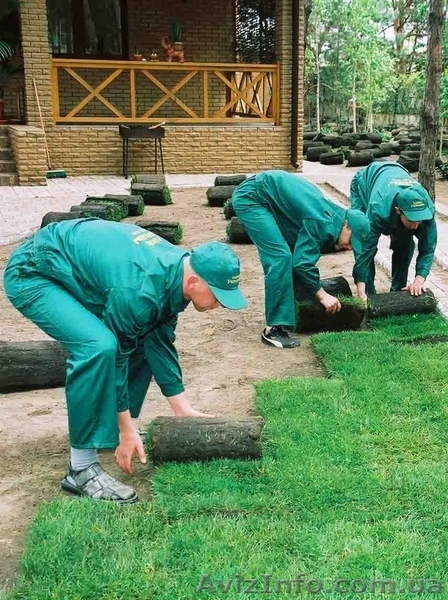 Рулонные газоны – с июля 2014 г. и в Вашей области! - <ro>Изображение</ro><ru>Изображение</ru> #4, <ru>Объявление</ru> #1113997