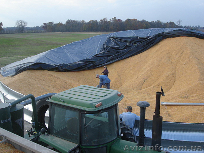 Тенты для зерна и сена - <ro>Изображение</ro><ru>Изображение</ru> #2, <ru>Объявление</ru> #1145570
