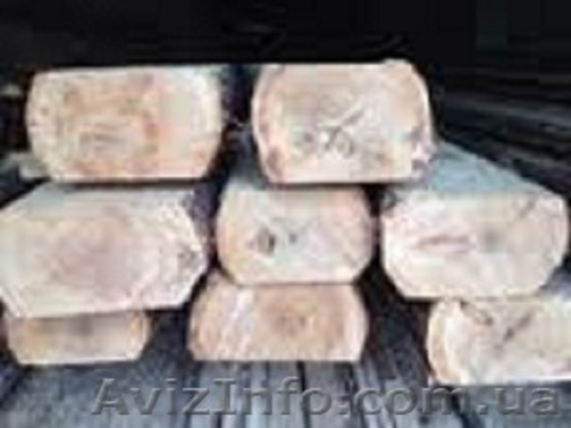 Закупаем дорого автомобильными нормами - плаху (двухкантный брус) и кругляк тонк - <ro>Изображение</ro><ru>Изображение</ru> #1, <ru>Объявление</ru> #1231724