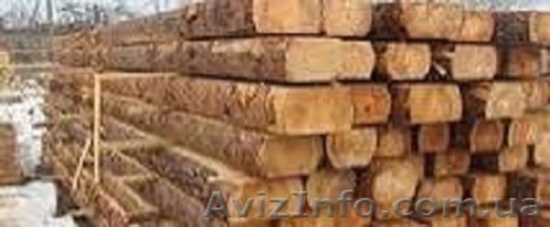 Закупаем дорого автомобильными нормами - плаху (двухкантный брус) и кругляк тонк - <ro>Изображение</ro><ru>Изображение</ru> #2, <ru>Объявление</ru> #1231724