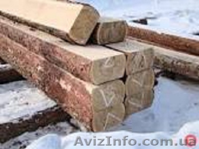 Закупаем дорого автомобильными нормами - плаху (двухкантный брус) и кругляк тонк - <ro>Изображение</ro><ru>Изображение</ru> #4, <ru>Объявление</ru> #1231724