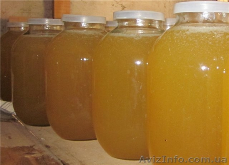 Продаю смачний мед, викачаний 05 липня 2015 р.  - <ro>Изображение</ro><ru>Изображение</ru> #1, <ru>Объявление</ru> #1285764