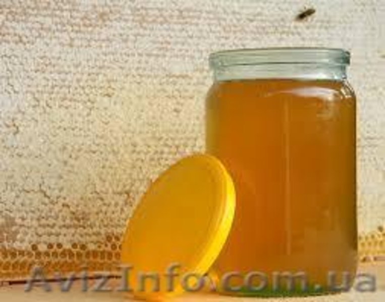 Продаю смачний мед, викачаний 05 липня 2015 р.  - <ro>Изображение</ro><ru>Изображение</ru> #2, <ru>Объявление</ru> #1285764