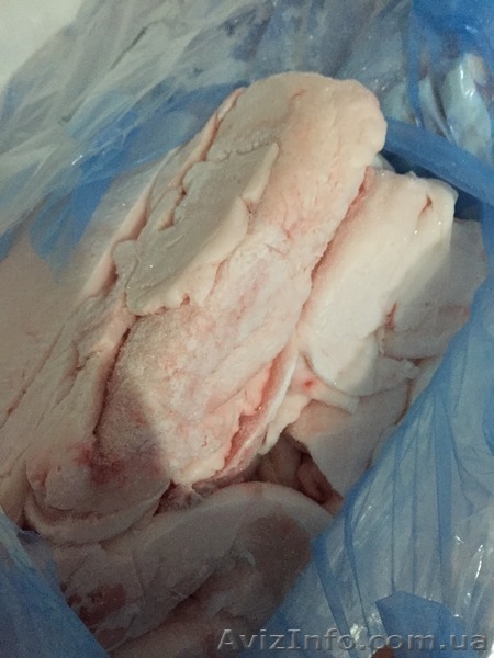 Продам свиное сало оптом - <ro>Изображение</ro><ru>Изображение</ru> #1, <ru>Объявление</ru> #1342240