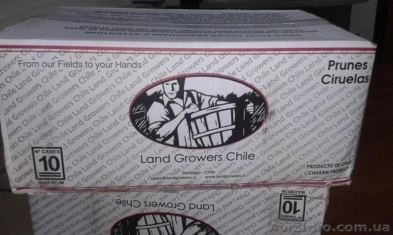 Настоящий Чилийский чернослив продам оптом от 50 кг - <ro>Изображение</ro><ru>Изображение</ru> #3, <ru>Объявление</ru> #1446107