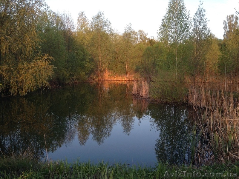 Земельна ділянка 20 соток ВІД ГОСПОДАРЯ - <ro>Изображение</ro><ru>Изображение</ru> #2, <ru>Объявление</ru> #1458636